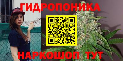 гашиш Сланцы