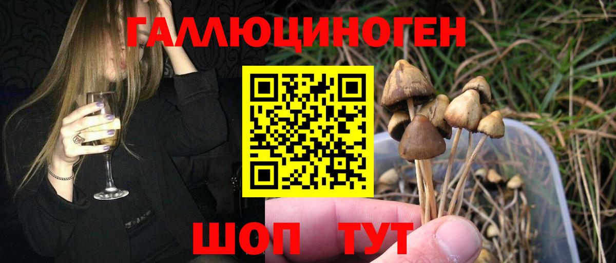 Астрахань  Галлюциногенные грибы мицелий  Вход с VPN 